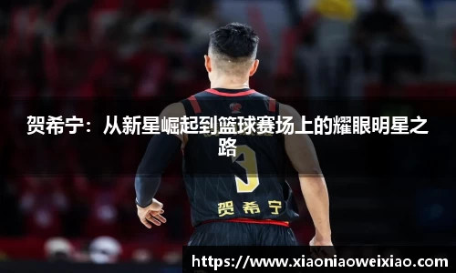 贺希宁：从新星崛起到篮球赛场上的耀眼明星之路